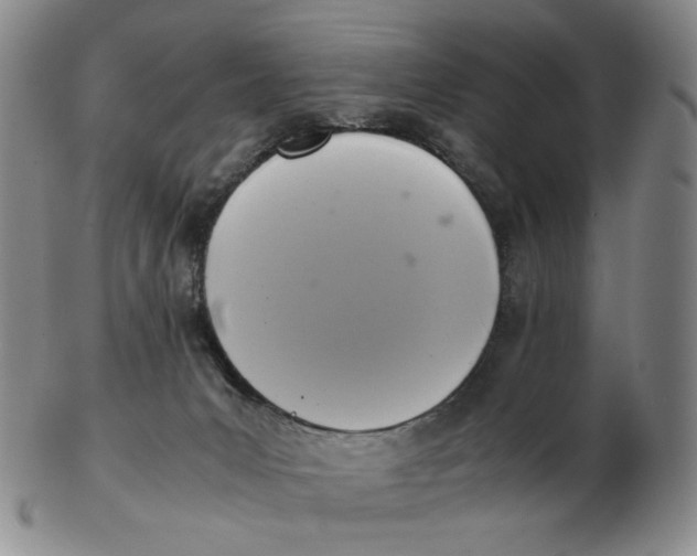 X0000103130031200809121741