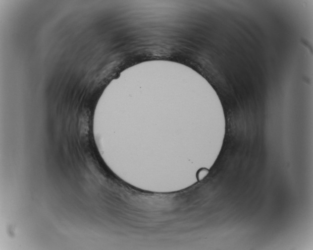 X0000103130032200809121741