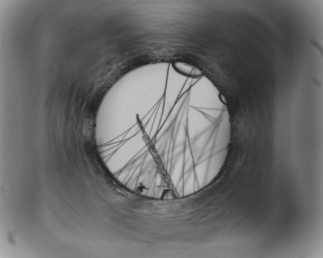 X0000103130033200809121741