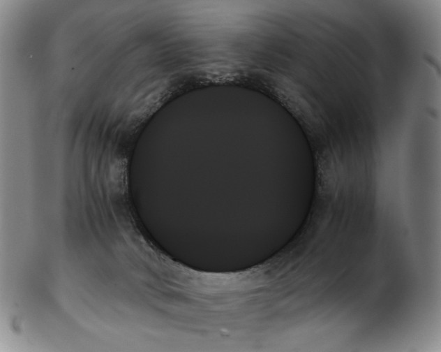 X0000103130034200809121741