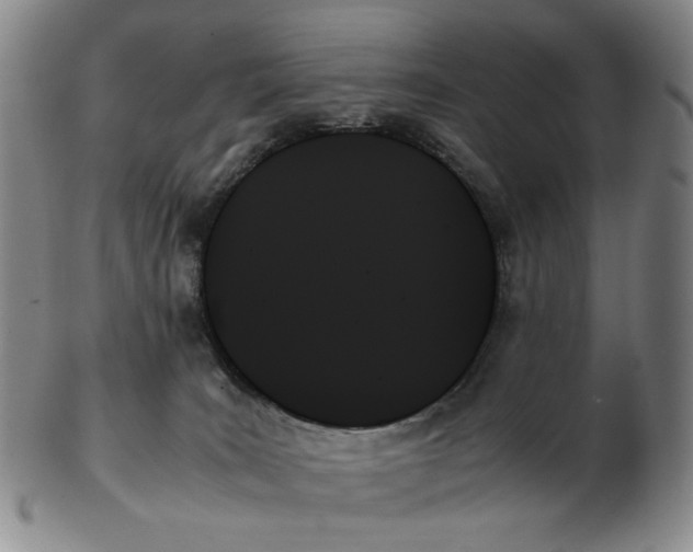 X0000103130035200809121741
