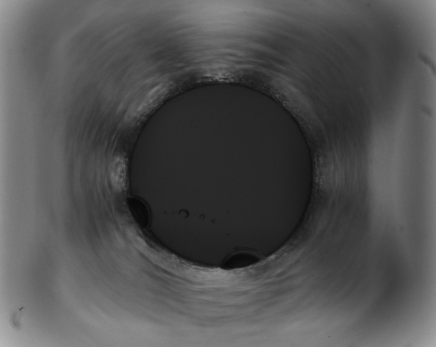 X0000103130036200809121741