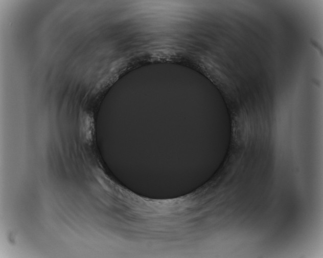 X0000103130038200809121741