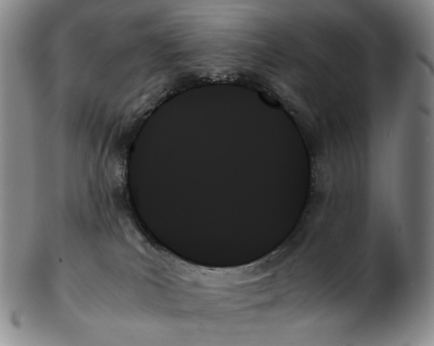 X0000103130039200809121741