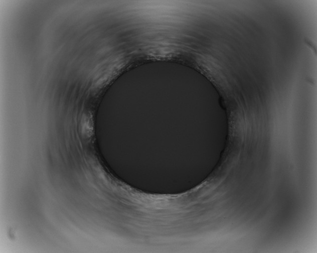 X0000103130040200809121741