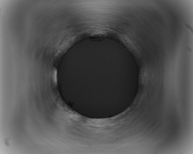 X0000103130041200809121741