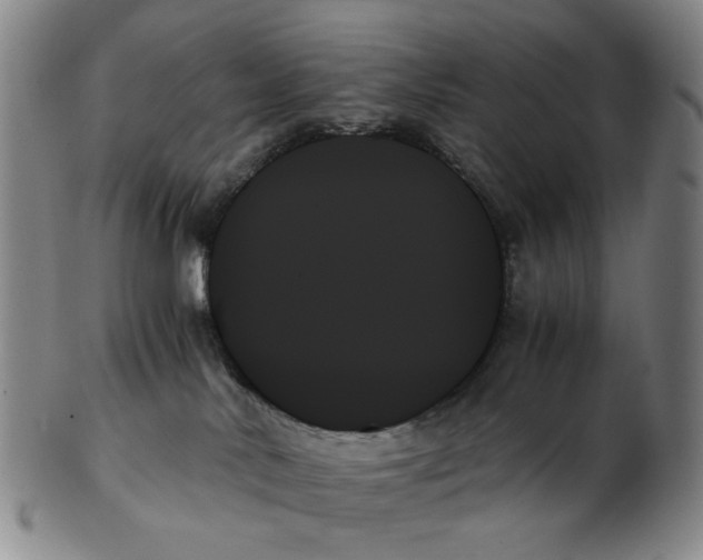 X0000103130042200809121741