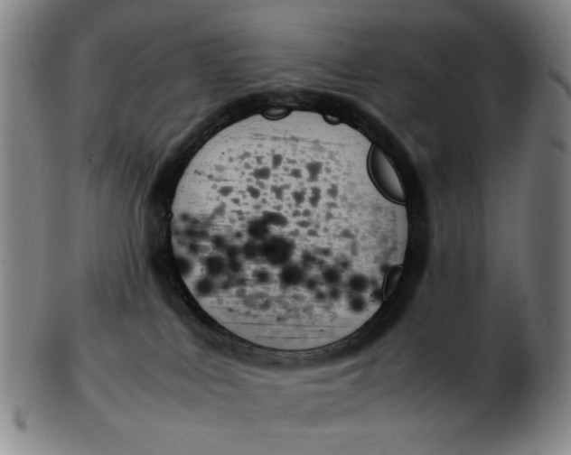 X0000103130043200809121741