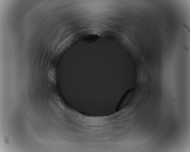 X0000103130044200809121741