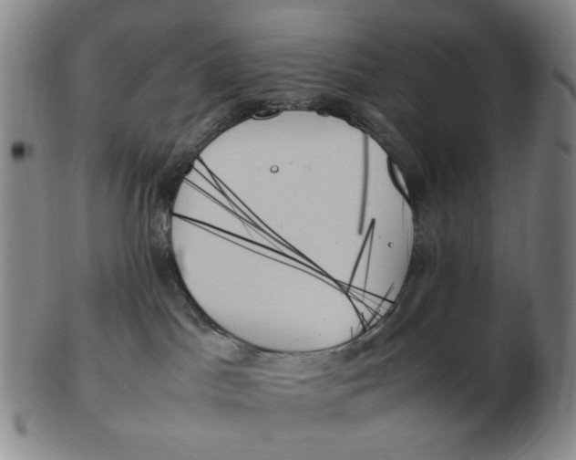 X0000103130045200809121741