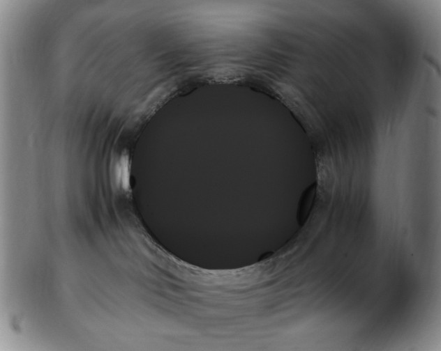 X0000103130046200809121741