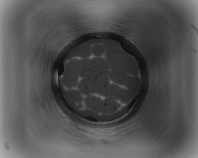 X0000103130047200809121741
