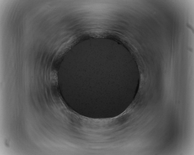 X0000103130048200809121741