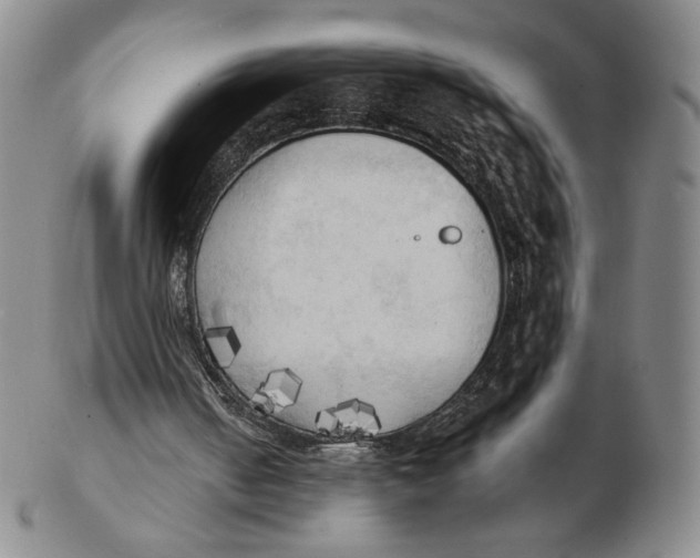 X0000103130050200809121740