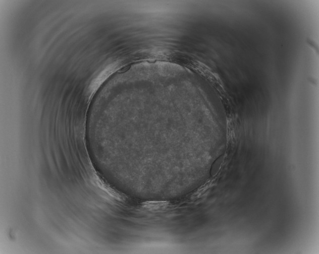 X0000103130051200809121740