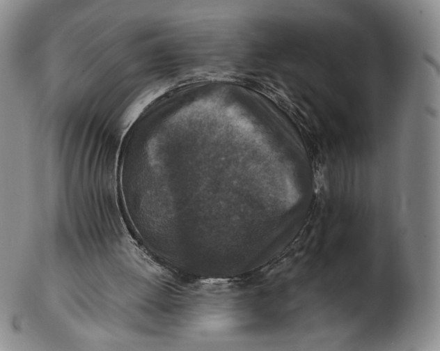 X0000103130052200809121740