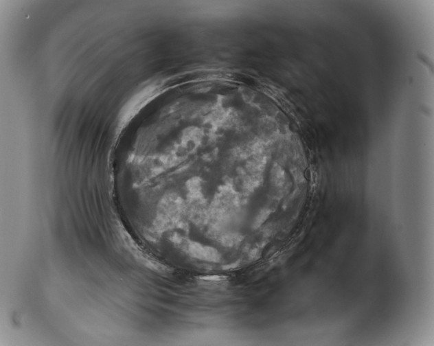 X0000103130053200809121741