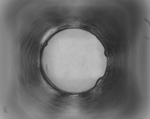 X0000103130054200809121741