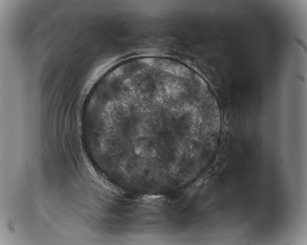 X0000103130055200809121741