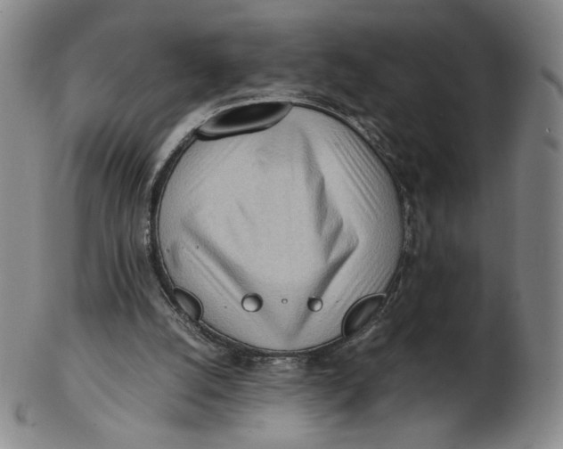 X0000103130056200809121741