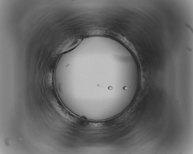 X0000103130057200809121741