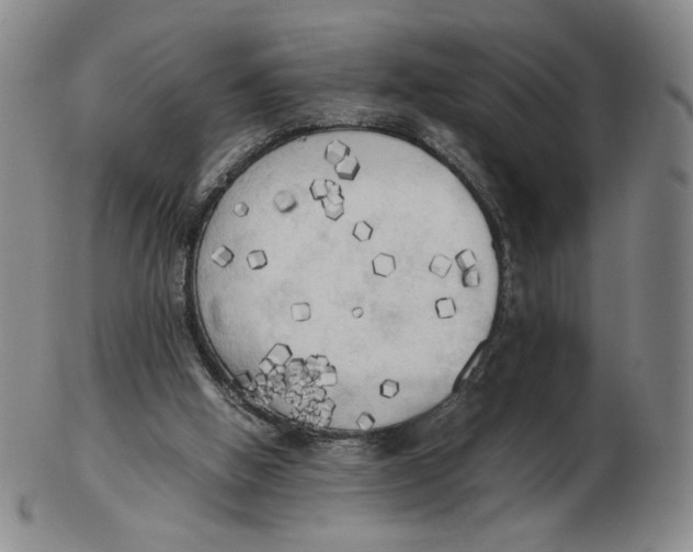 X0000103130058200809121741