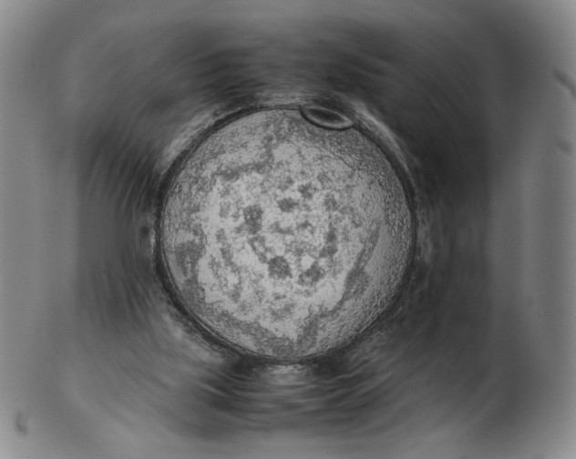 X0000103130059200809121741