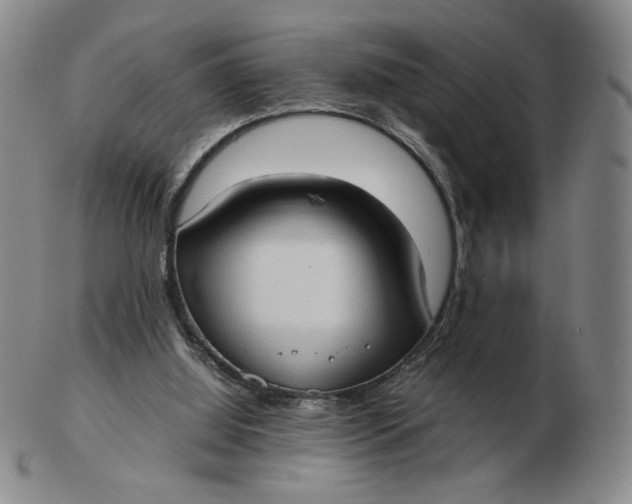X0000103130060200809121741