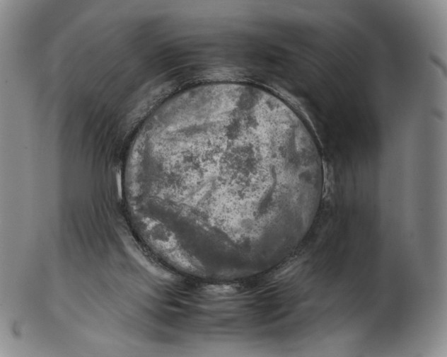 X0000103130061200809121741