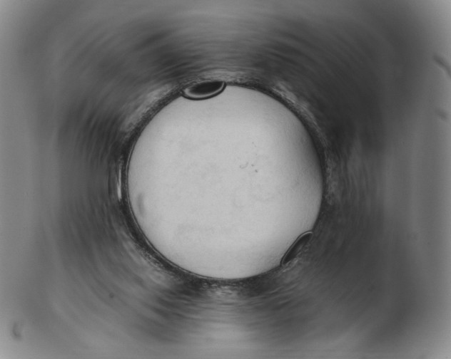 X0000103130062200809121741