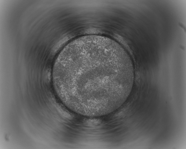 X0000103130063200809121741