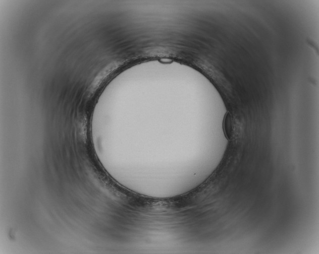 X0000103130064200809121741