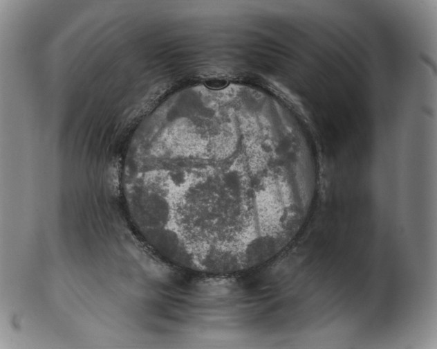 X0000103130065200809121741