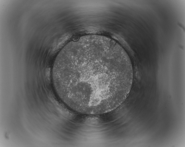 X0000103130066200809121741