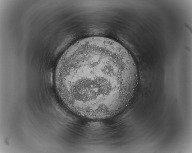 X0000103130067200809121741