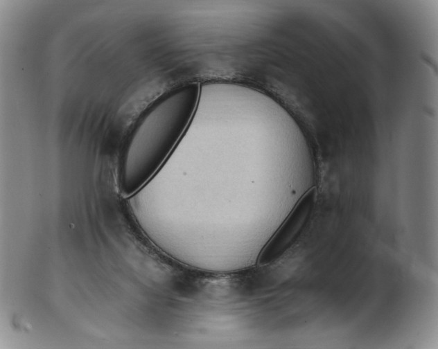 X0000103130068200809121741