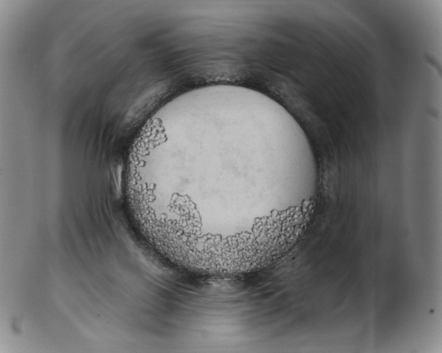 X0000103130070200809121741