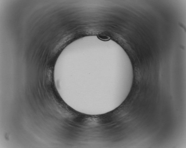 X0000103130071200809121741