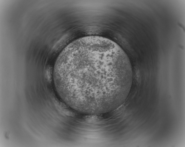 X0000103130074200809121741