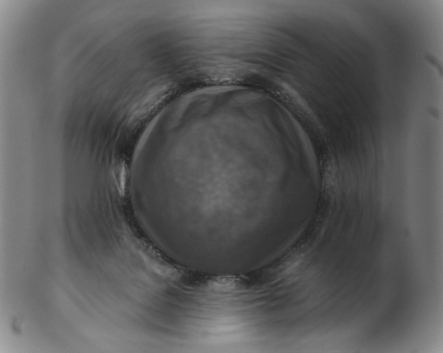 X0000103130076200809121741