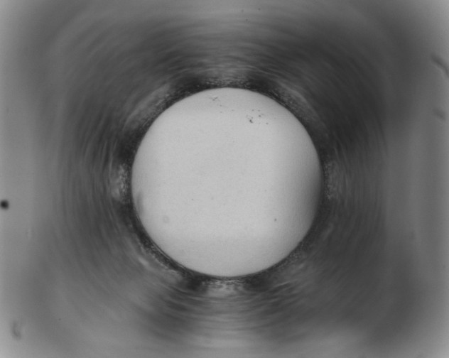 X0000103130077200809121741