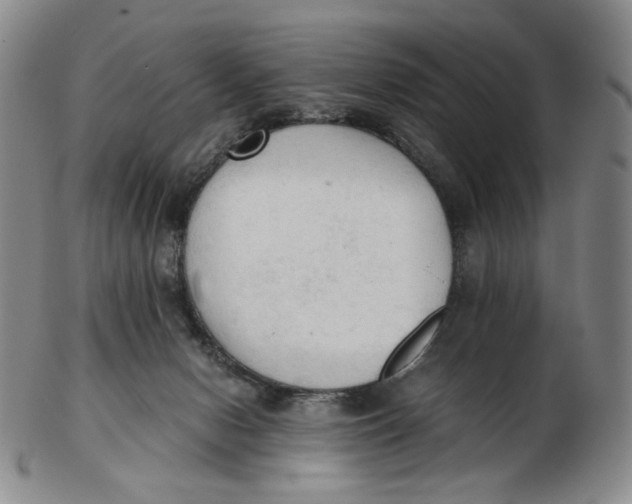 X0000103130078200809121741