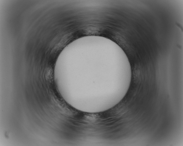 X0000103130079200809121741