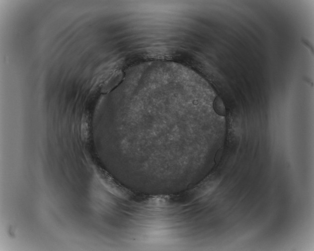 X0000103130080200809121741