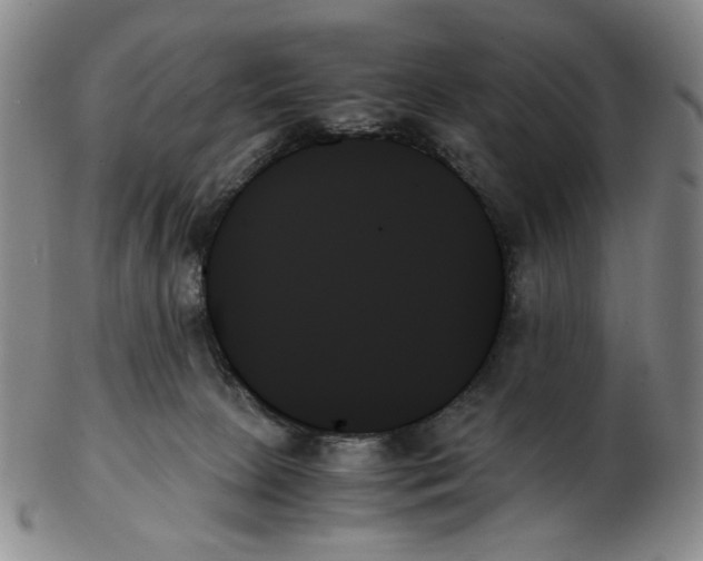 X0000103130081200809121741