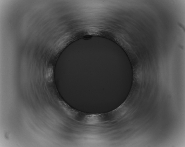 X0000103130082200809121741