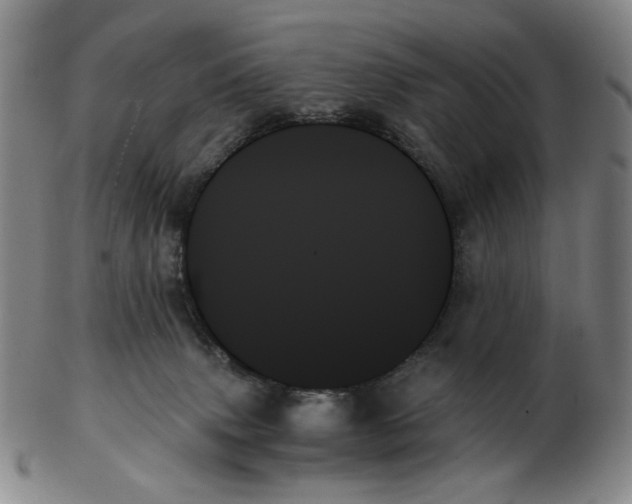 X0000103130083200809121741