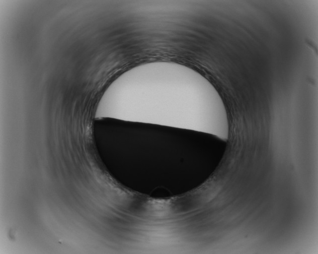 X0000103130084200809121741