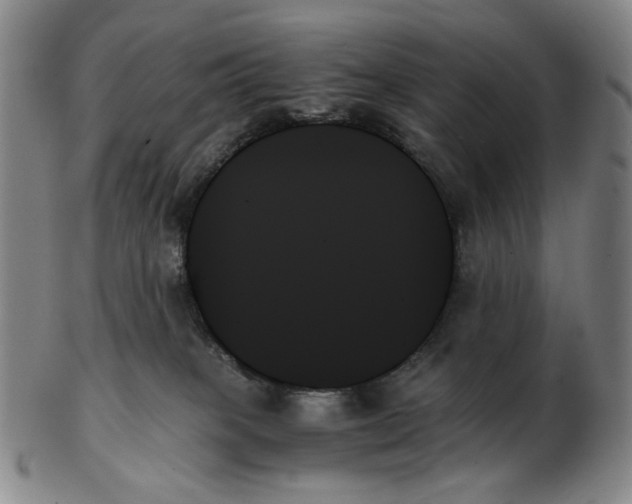 X0000103130085200809121741