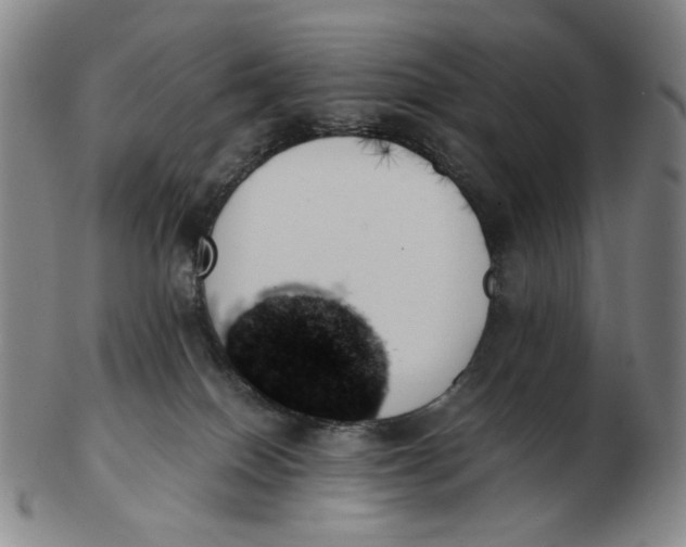 X0000103130086200809121741